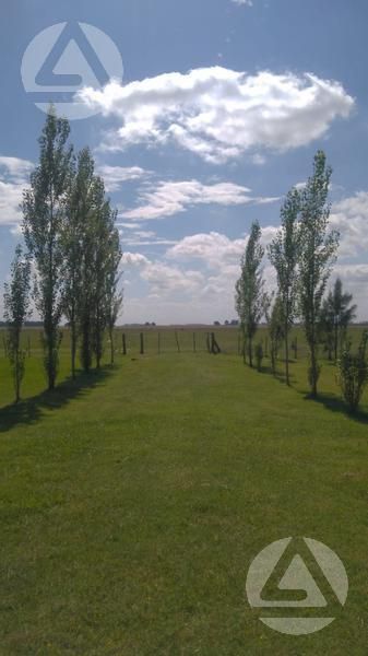 Lote EN VENTA
