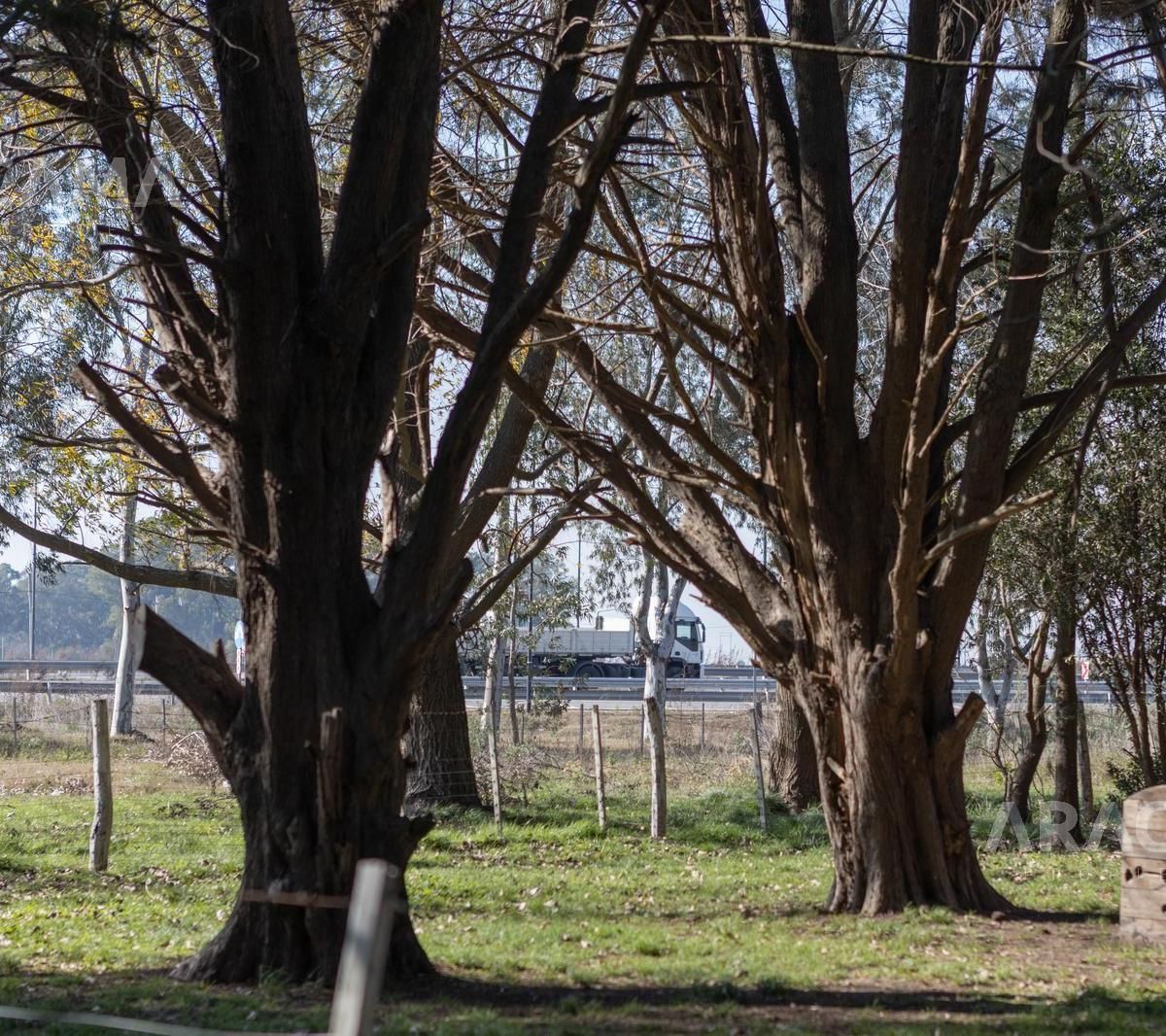Lote EN VENTA