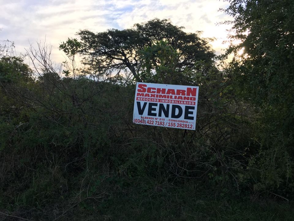 Lote EN VENTA