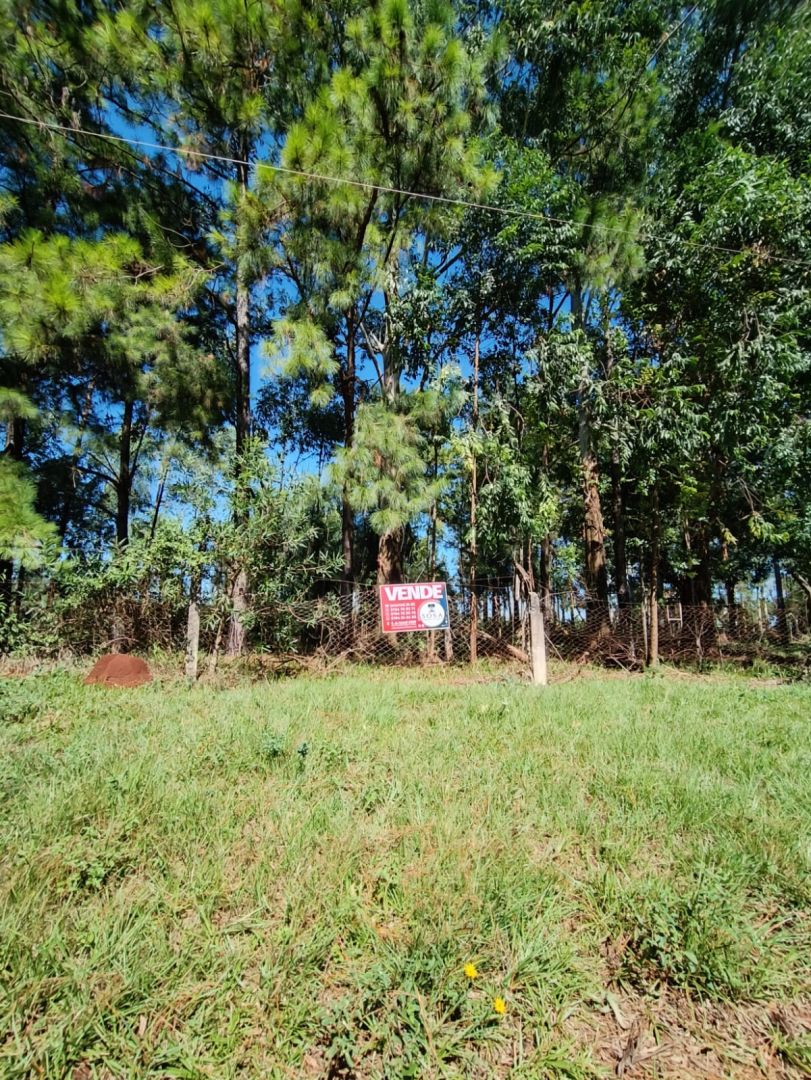 Lote EN VENTA