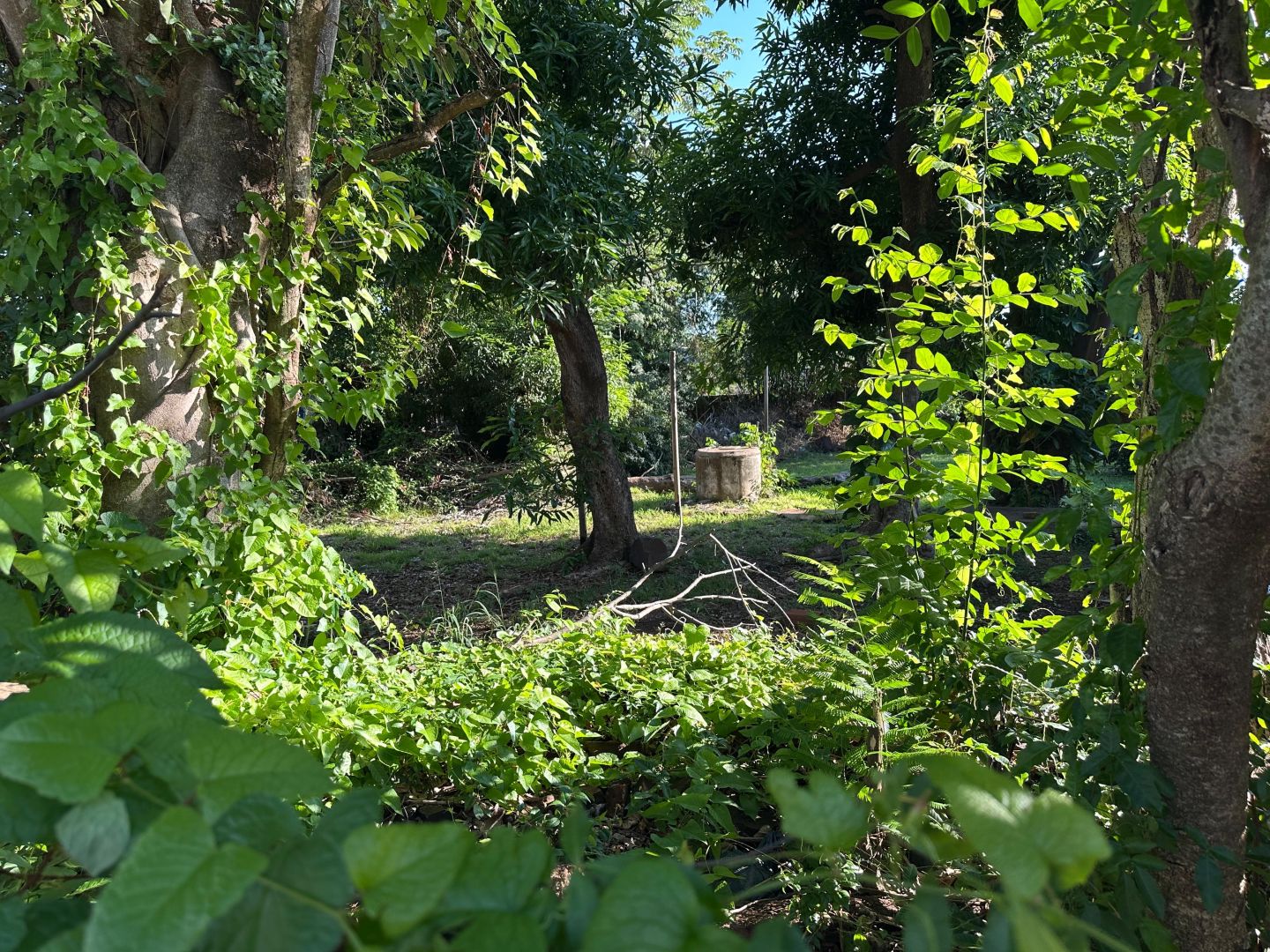 Lote EN VENTA