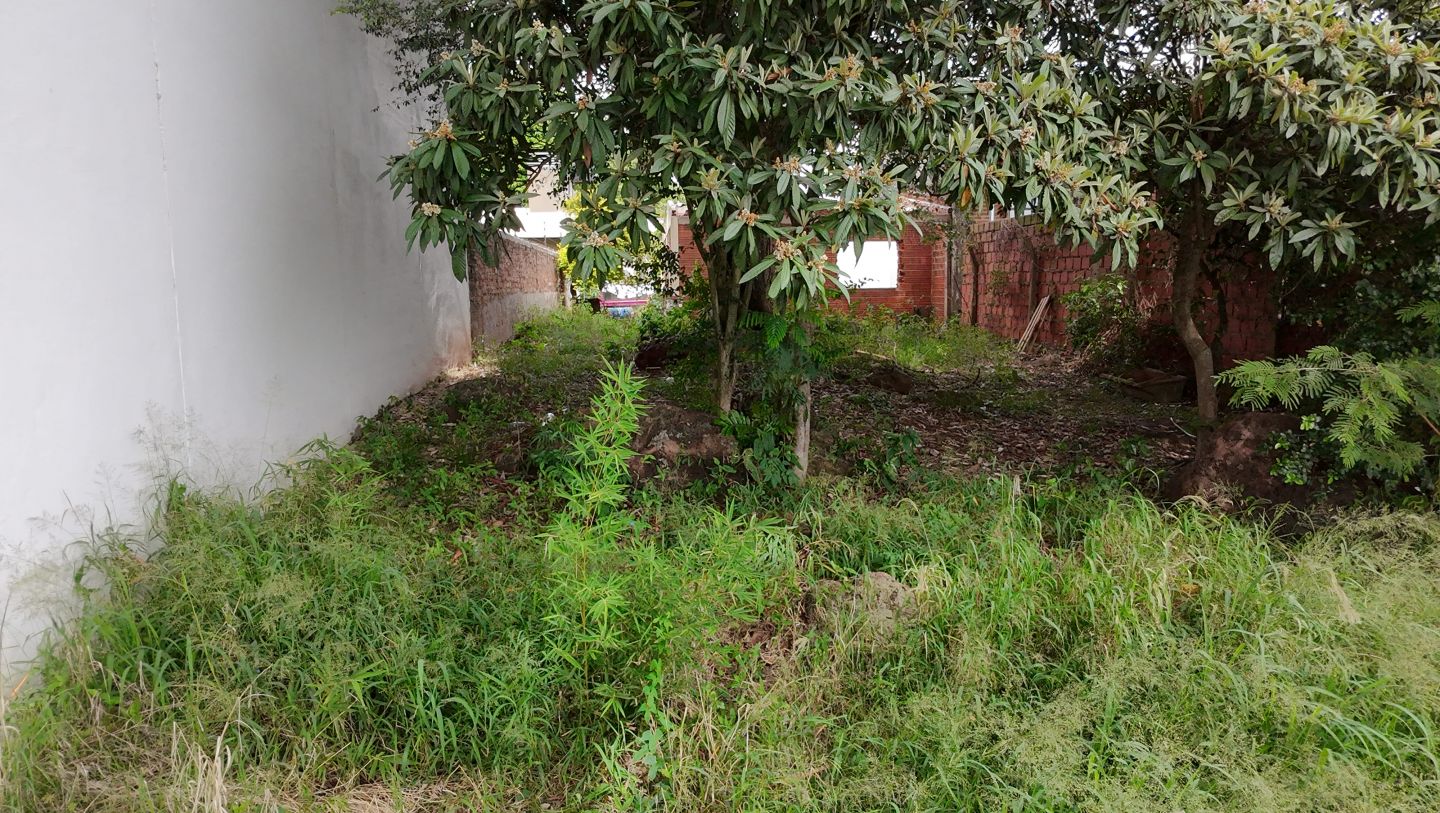 Lote EN VENTA