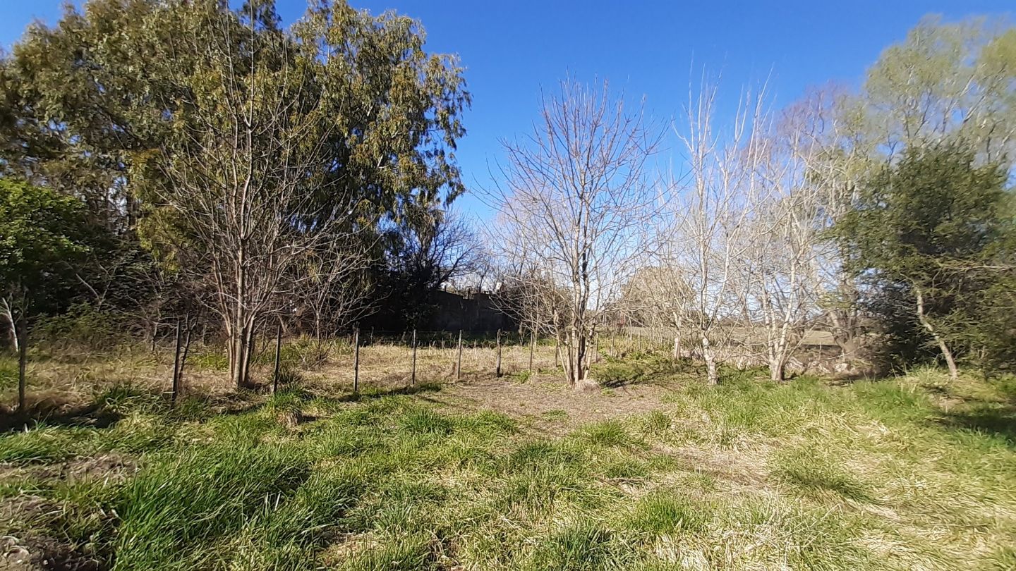 Lote EN VENTA