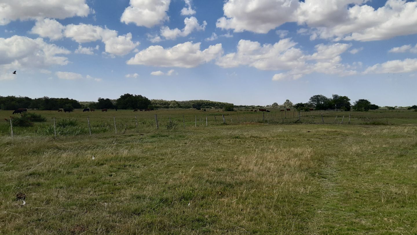 Lote EN VENTA