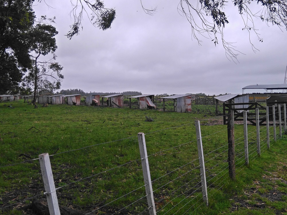 Campo EN VENTA