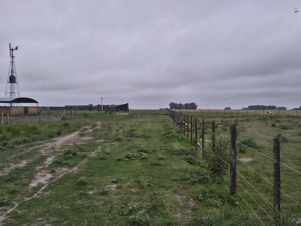 Campo EN VENTA