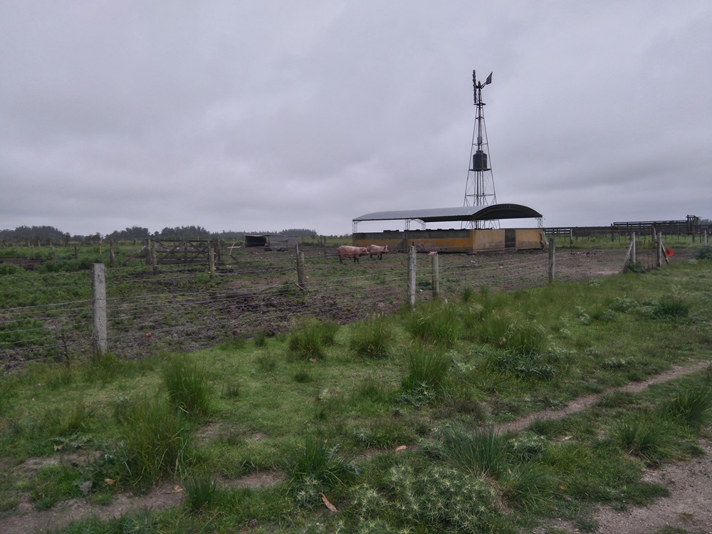 Campo EN VENTA