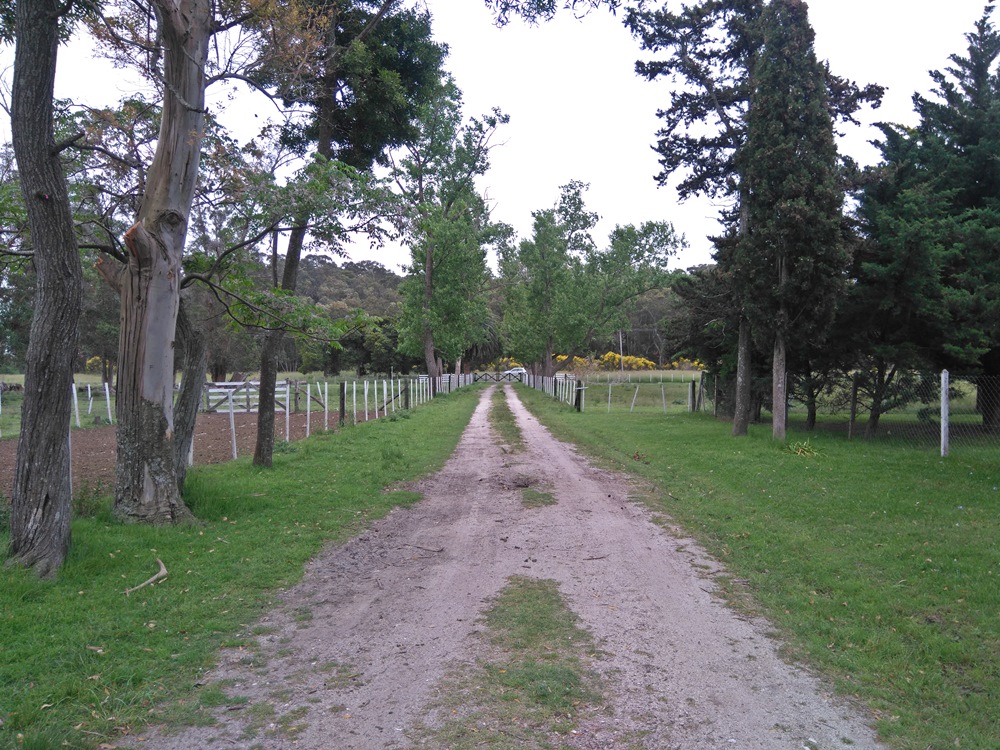 Campo EN VENTA