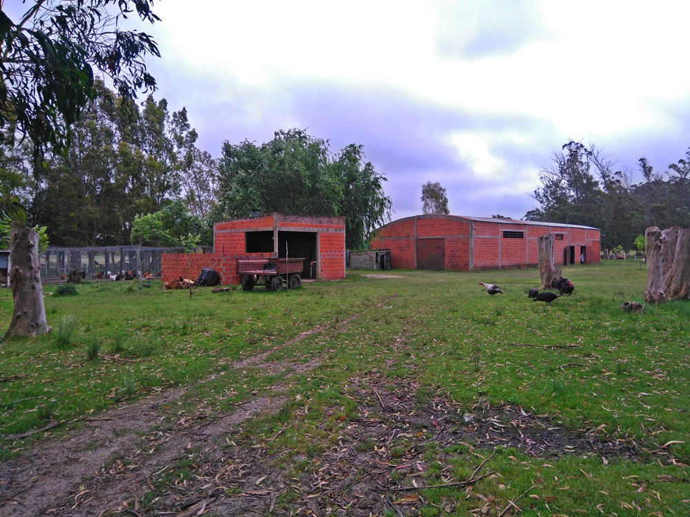 Campo EN VENTA