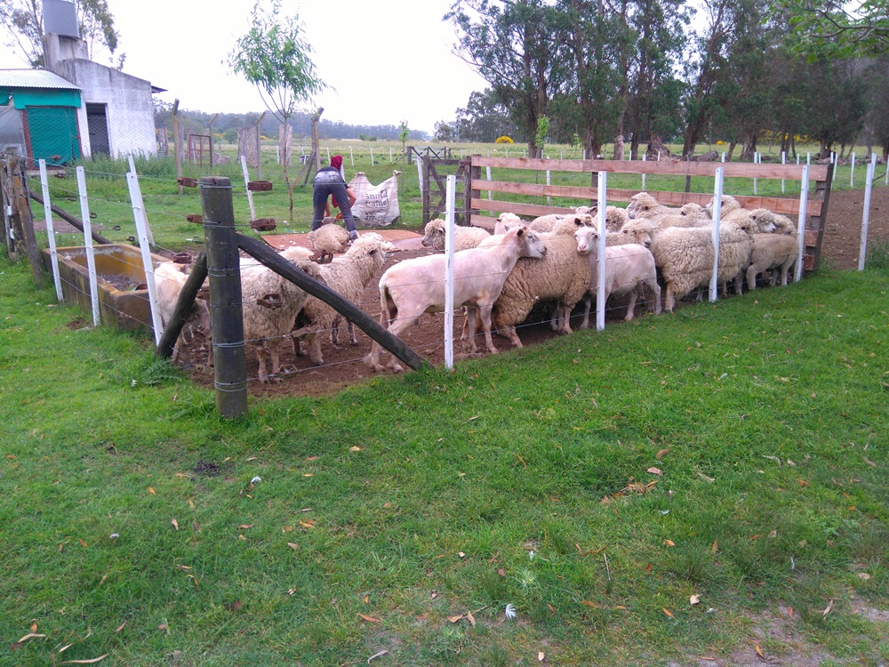 Campo EN VENTA