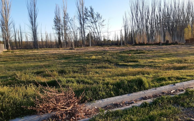 Lote EN VENTA