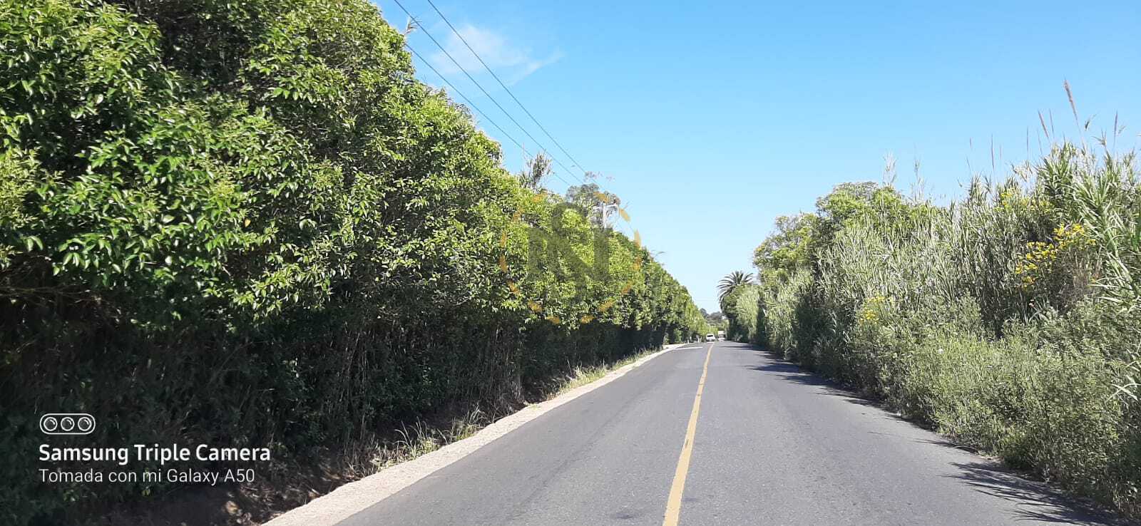 Lote EN VENTA
