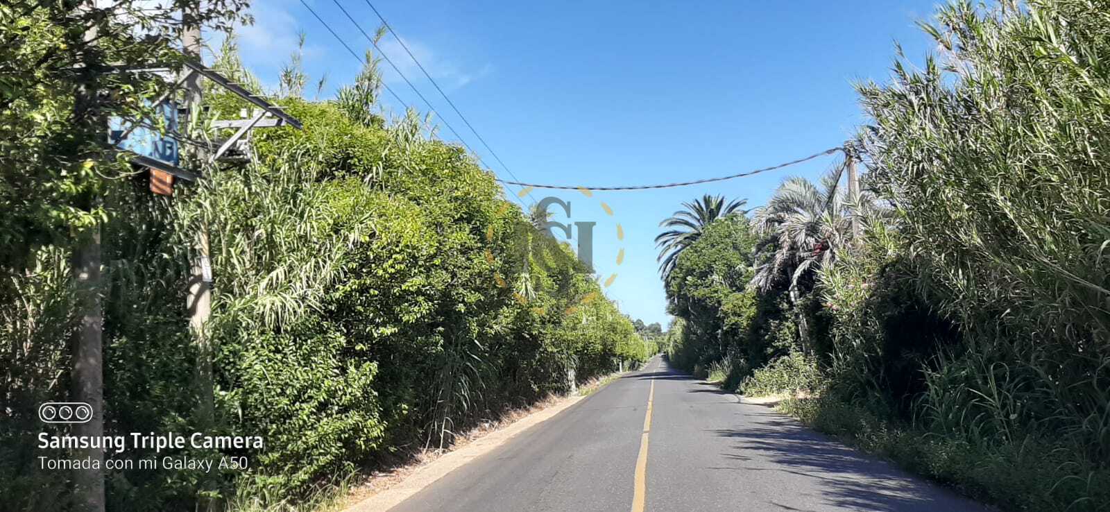 Lote EN VENTA